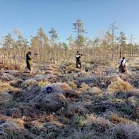 Elävä seutu, elävät verkostot – yhdessä enemmän matkailussa, tapahtumissa ja tiloissa